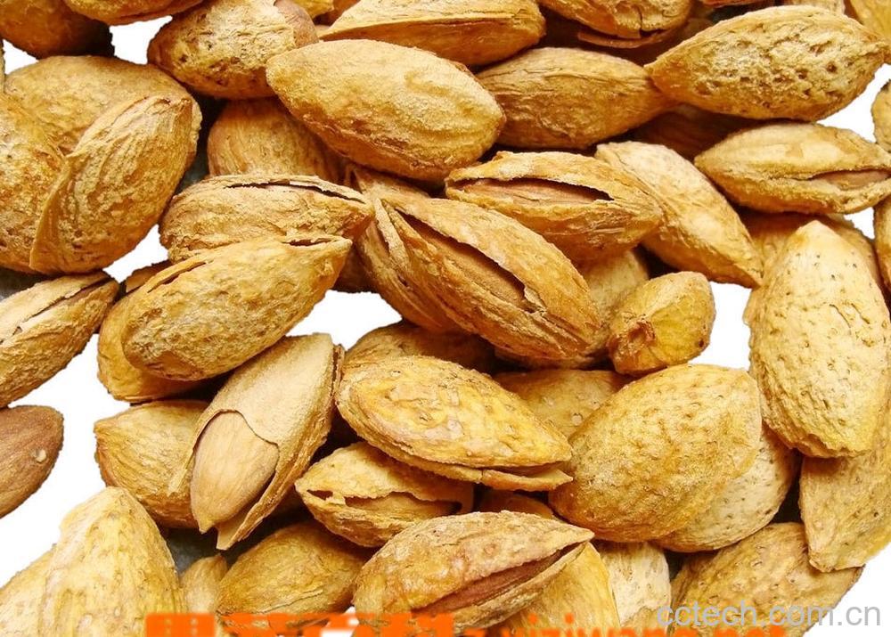 果蔬百科杏仁-0