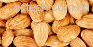 果蔬百科杏仁-0