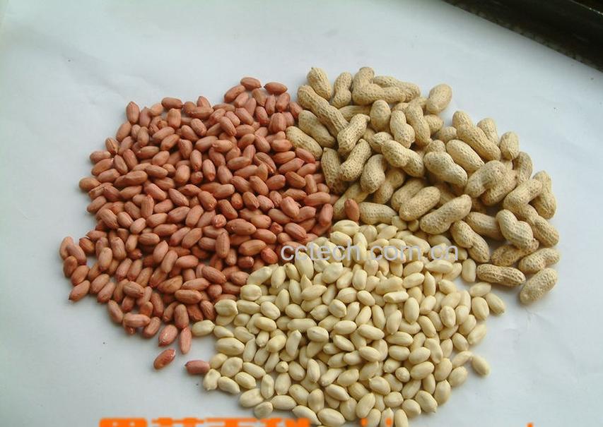 果蔬百科花生-0