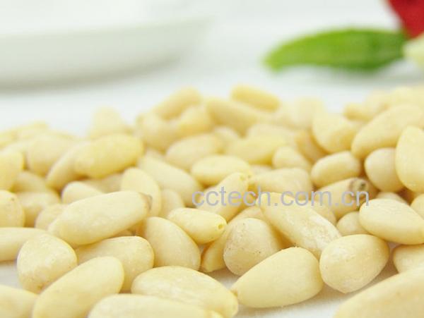 果蔬百科松子仁-0