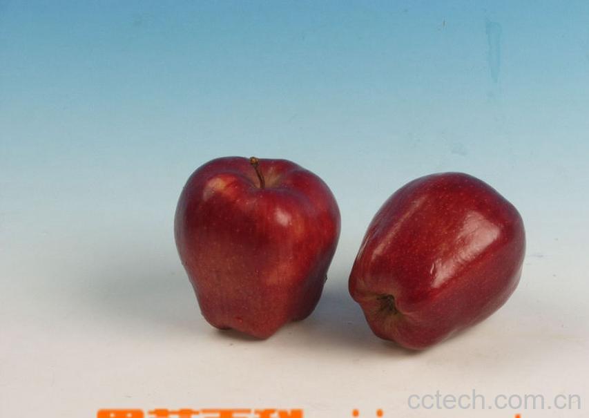 果蔬百科蛇果-0