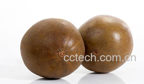 果蔬百科罗汉果-0