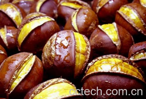 果蔬百科板栗-0