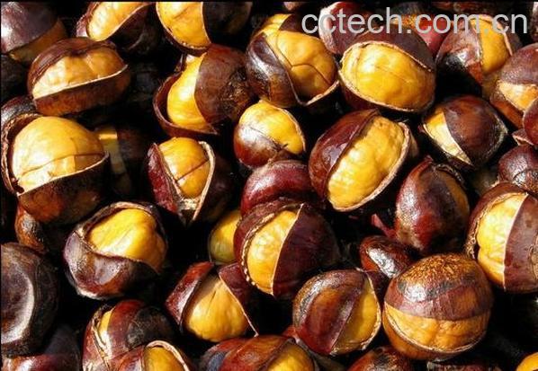 果蔬百科板栗-0