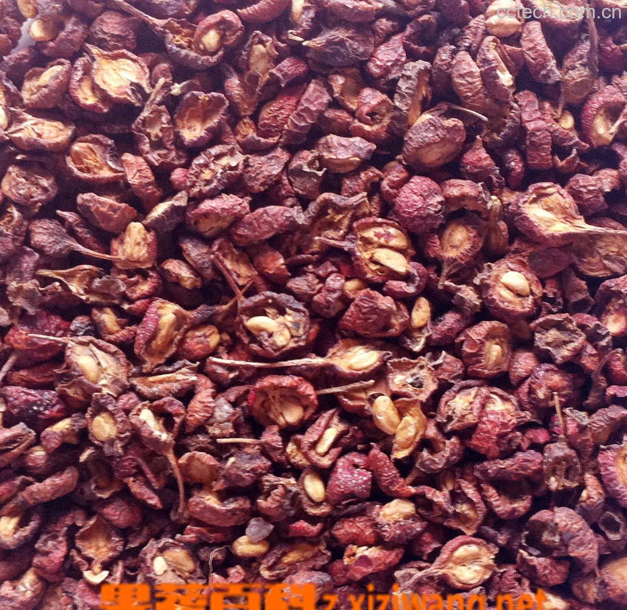 果蔬百科焦山楂-0