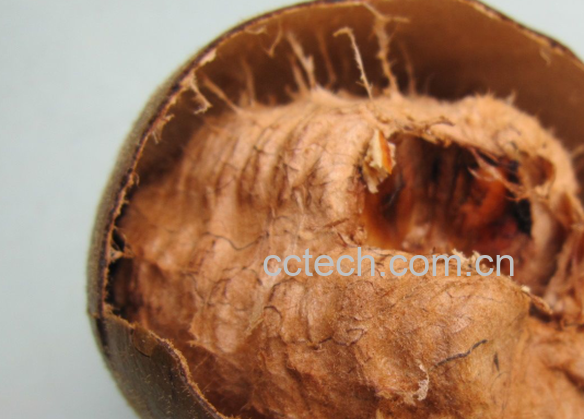 果蔬百科干罗汉果-0