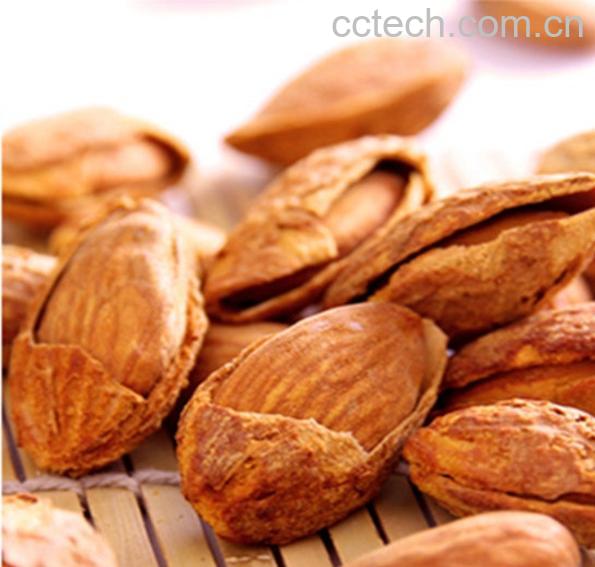 果蔬百科杏仁-0