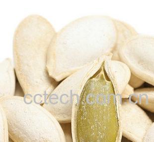 果蔬百科白瓜子-0