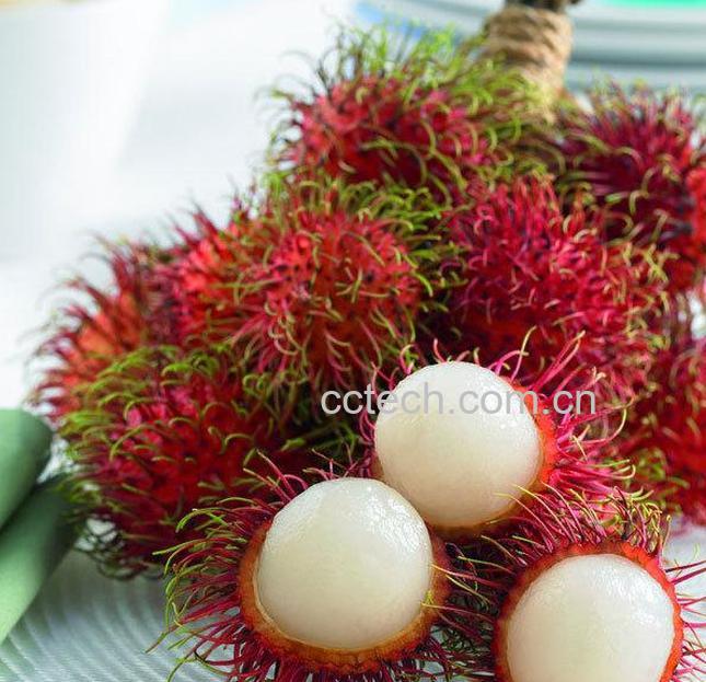 果蔬百科红毛丹-0