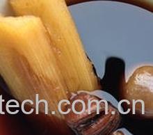 果蔬百科罗汉果甘蔗蜂蜜甜水-0