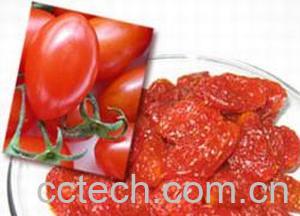 果蔬百科圣女果-0