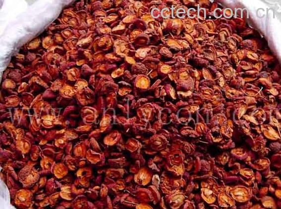 果蔬百科山楂-0