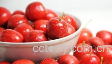 果蔬百科山楂-0