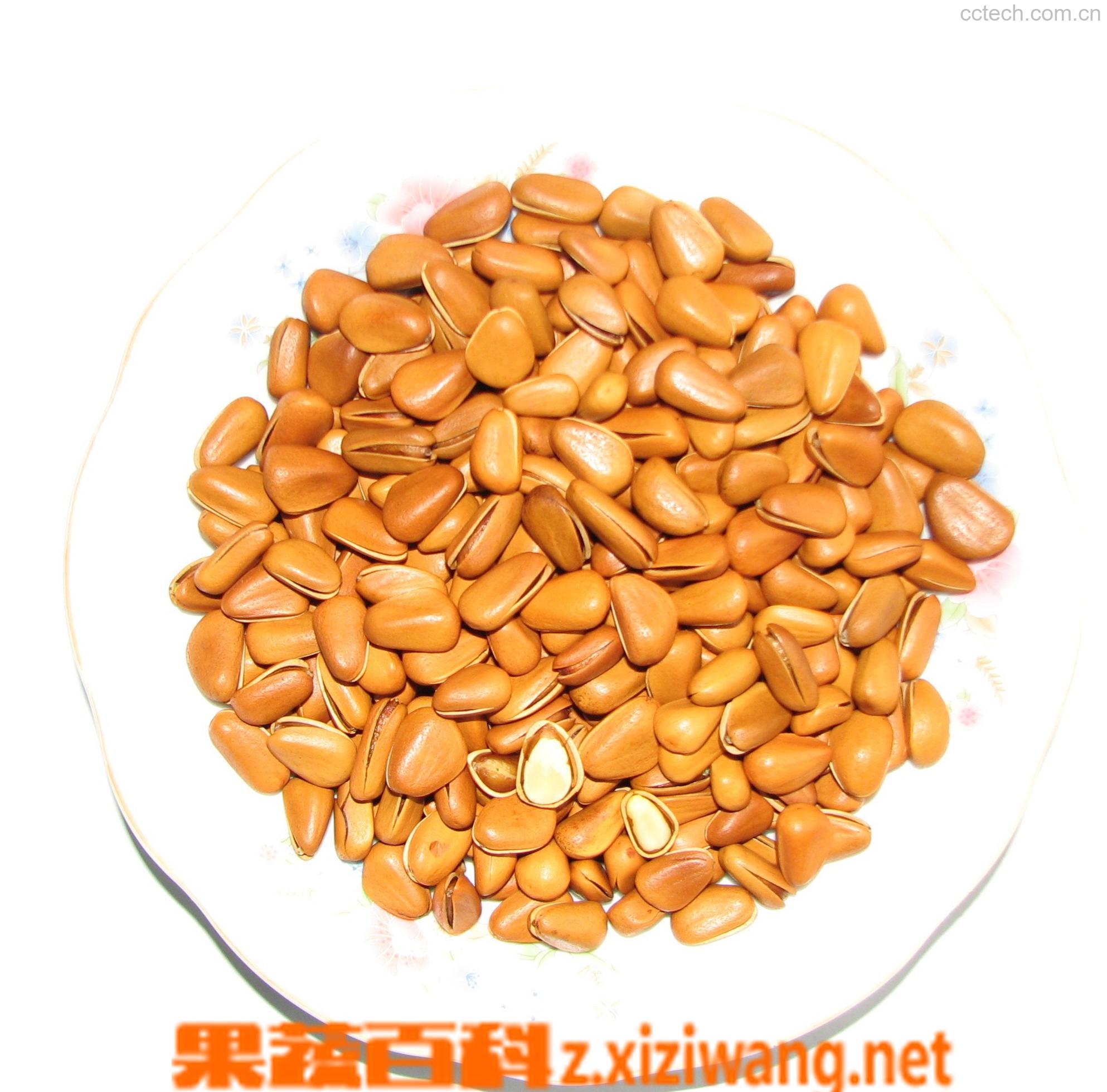 果蔬百科坚果-0