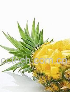 果蔬百科菠萝-0