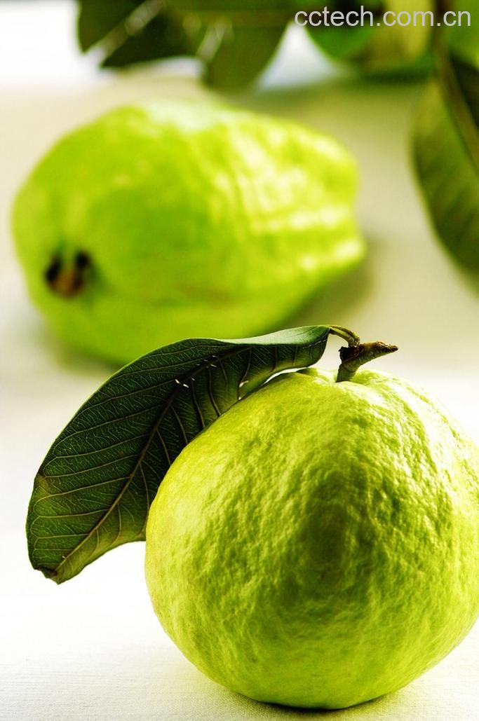 果蔬百科番石榴怎么吃-0