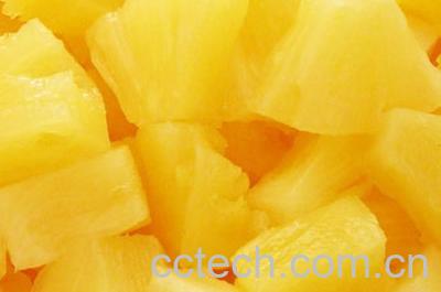 果蔬百科菠萝-0