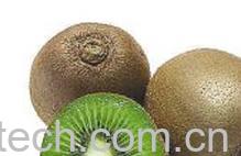 果蔬百科猕猴桃-0