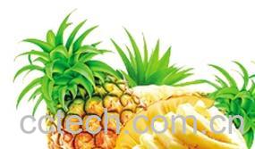 果蔬百科菠萝-0