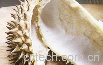 果蔬百科榴莲壳-0