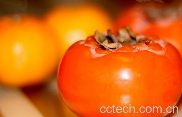 果蔬百科吃柿子有什么好处-0