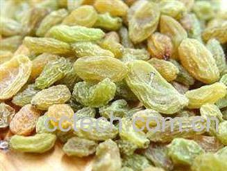 果蔬百科葡萄干-0