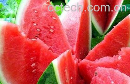 果蔬百科西瓜的功效与作用-0