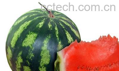 果蔬百科吃西瓜的好处有哪些-0