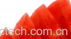 果蔬百科西瓜-0