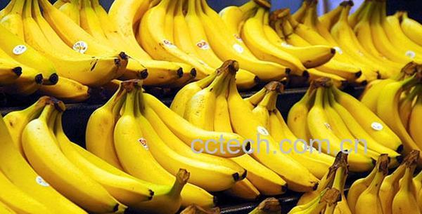 果蔬百科香蕉-0