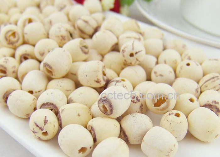 果蔬百科莲子-0