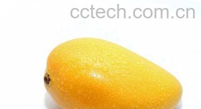 果蔬百科芒果-0