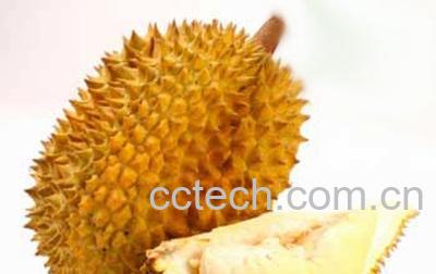 果蔬百科榴莲-0