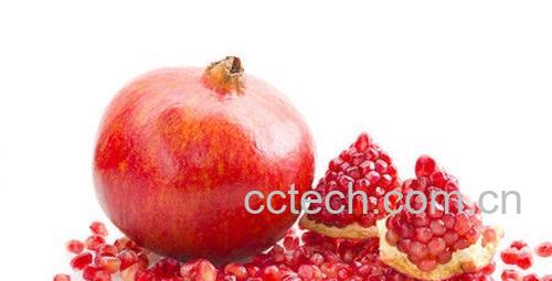 果蔬百科石榴-0