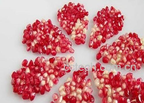 果蔬百科石榴-0