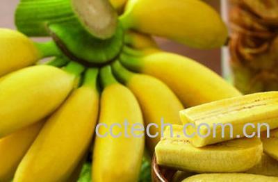 果蔬百科香蕉-0