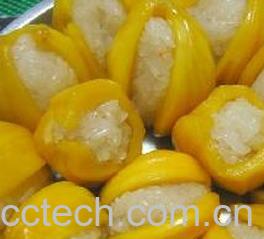 果蔬百科菠萝蜜-0