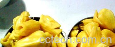 果蔬百科菠萝蜜-0