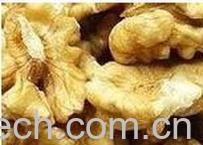 果蔬百科核桃-0