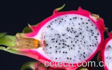 果蔬百科火龙果的功效与作用有哪些-1