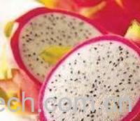 果蔬百科火龙果-0