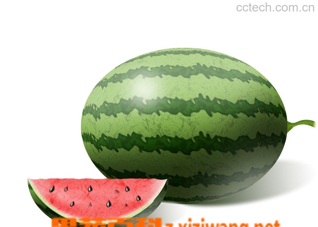 果蔬百科西瓜-0