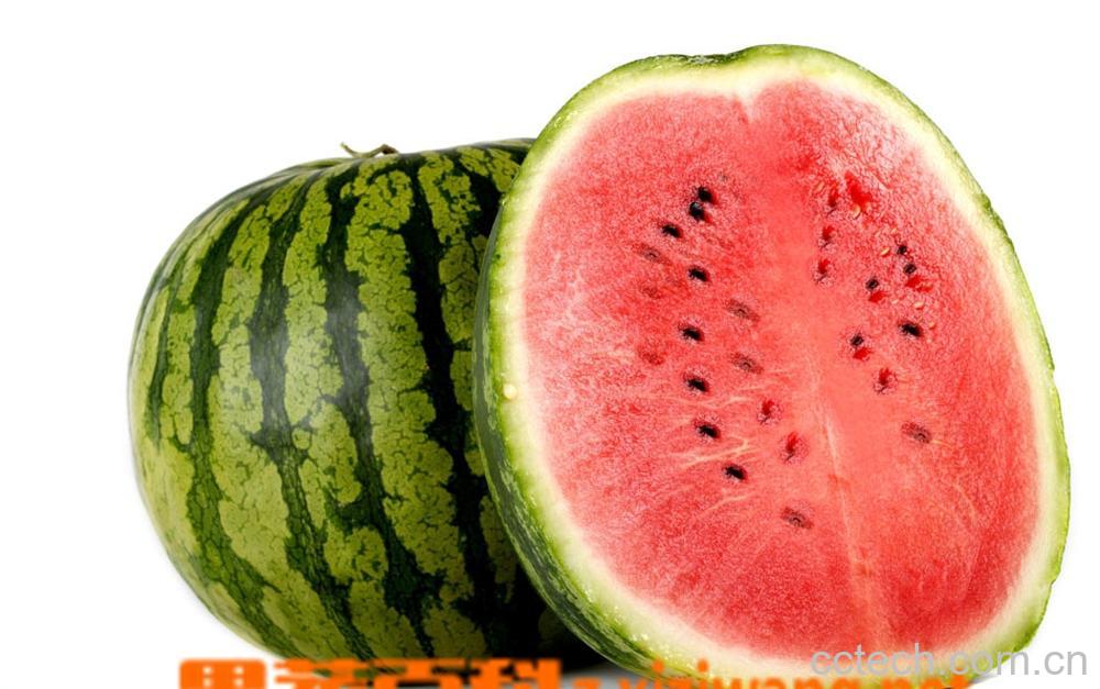 果蔬百科西瓜-0