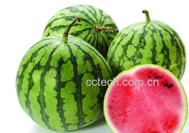 果蔬百科西瓜-0