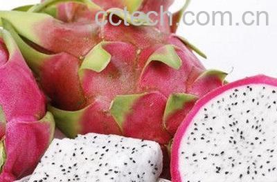 果蔬百科火龙果-0