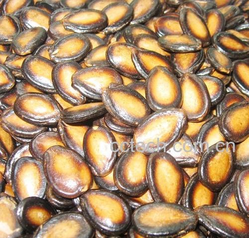 果蔬百科西瓜子-0