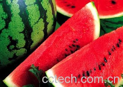 果蔬百科西瓜-0