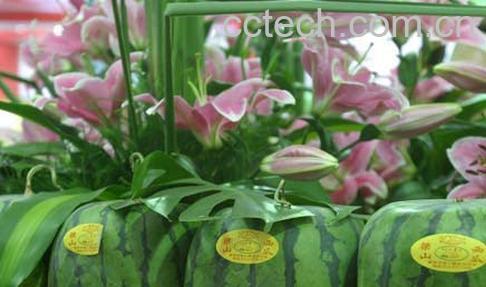 果蔬百科西瓜-0