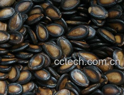 果蔬百科西瓜籽-0