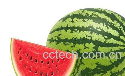 果蔬百科西瓜-0